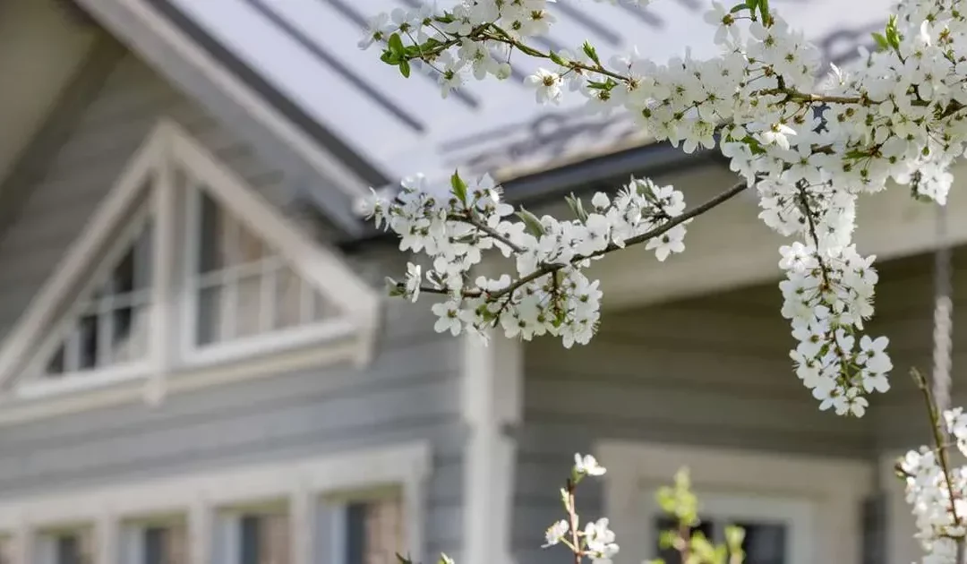 Spring into Action: 6 Essential Questions for Prospective Homebuyers