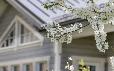 Spring into Action: 6 Essential Questions for Prospective Homebuyers